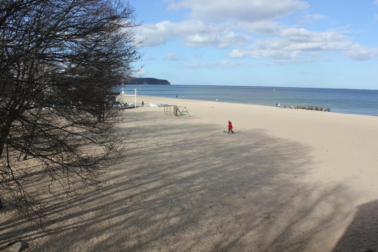 Park Lejlighed Sopot Eksteriør billede